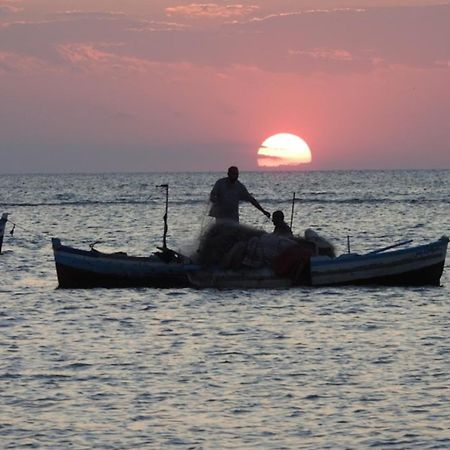 Dar Chick Yahia Ile De Djerba Bed and Breakfast Mezrane Εξωτερικό φωτογραφία