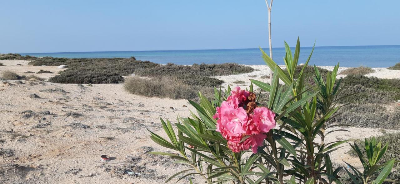 Dar Chick Yahia Ile De Djerba Bed and Breakfast Mezrane Εξωτερικό φωτογραφία